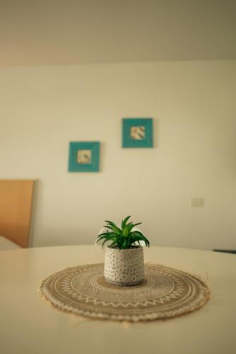 a potted plant sitting on top of a table at Sucre Suites in Buenos Aires