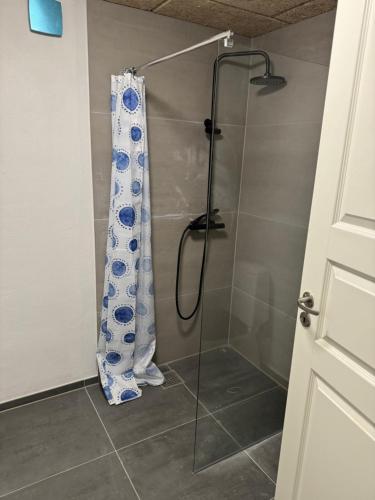 y baño con ducha y cortina de ducha. en Italian Rooms 10, en Aalborg