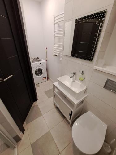 a small bathroom with a toilet and a sink at Teodora B. Apartament in Liepāja