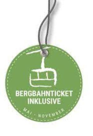 a green sticker with a picture of a microwave at Ferienwohnung Schwendle Egg in Mittelberg