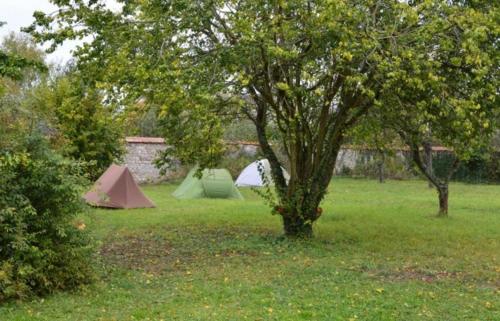 Κήπος έξω από το Fontaineblhostel hostel & camping near Fontainebleau