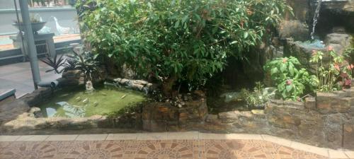 einen Garten mit einem Teich mit einem Baum in der Unterkunft Vila Princess,Sentul 4br, private pool, tenis meja, mini billiard, Home theater Karaoke, Ayunan besar,BBQ, 08satu3 80satu6 4satu5satu in Bogor