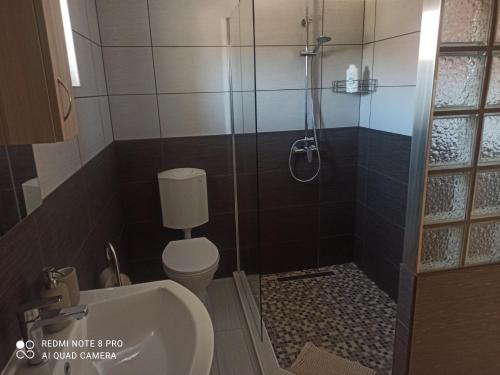 a bathroom with a shower with a toilet and a sink at ROZINA Vendégház in Balatonederics