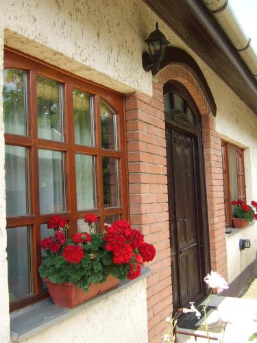 a window box with red geraniums on a building at Eszter Vendégház in Tiszafüred