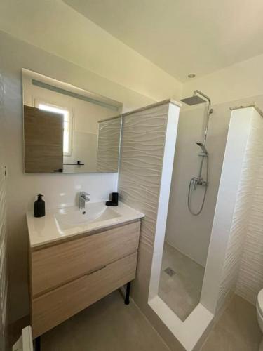 une salle de bain avec un lavabo et une douche dans l'établissement Havre de paix en Provence : maison avec piscine, à Salernes