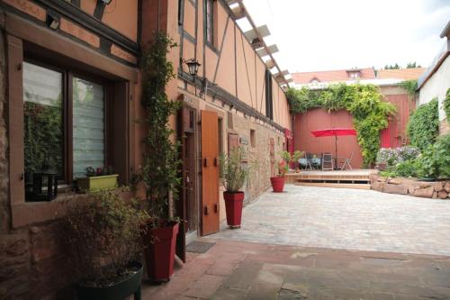 une cour avec des plantes en pot sur le côté d'un bâtiment dans l'établissement HOPLA, à Hurtigheim