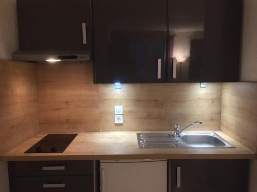 a kitchen with a sink and a counter top at Cosy Studio in Nogent-sur-Marne, City Centre, WiFi in Nogent-sur-Marne