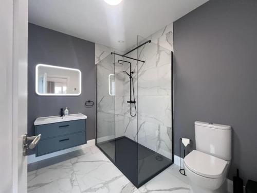 a bathroom with a shower and a toilet and a sink at Modern Dunboyne Home in Dunboyne