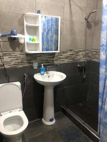 a bathroom with a toilet and a sink and a shower at Уютная квартира в центре in Yerevan