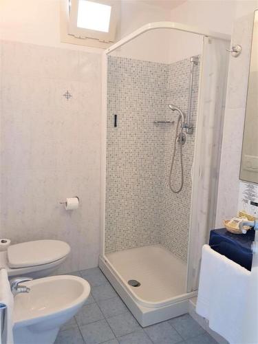 ミザーノ・アドリアーティコにあるHotel Villa Rosaのバスルーム(シャワー、トイレ、シンク付)