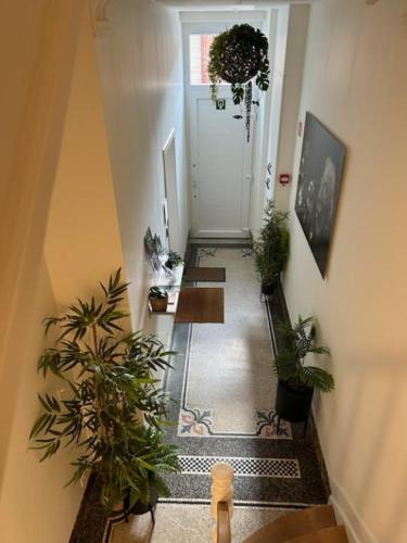 a hallway with potted plants and a hallway with a door at Les Gîtes Du Palais in Dinant