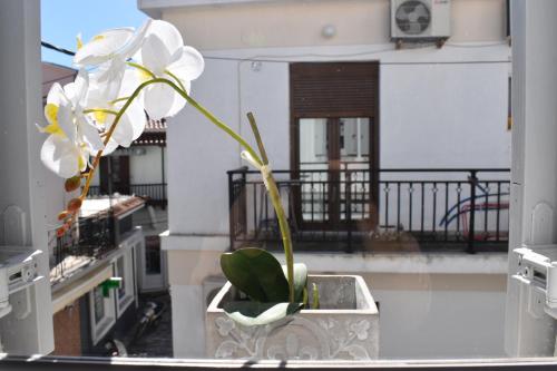 Μπαλκόνι ή βεράντα στο Pandora apartment