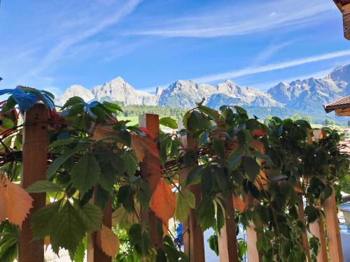 a fence with a view of mountains in the background at Erlenhof in Maria Alm am Steinernen Meer