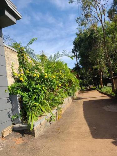 Gallery image of Beautiful Cozy Mansion in Kampala