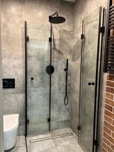 a shower with a glass door in a bathroom at Raciborska Royal Apartment - miejsce parkingowe na parkingu strzeżonym in Gliwice