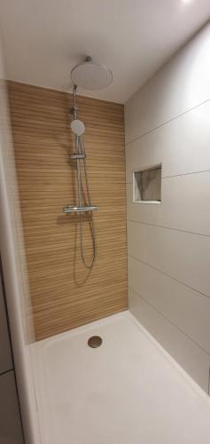 a shower in a bathroom with a wooden wall at La romarine in Bourg-Saint-Andéol
