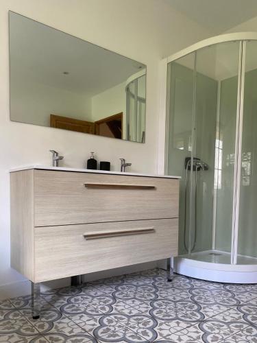 a bathroom with a sink and a large mirror at Gite de Beaufournier in Avremesnil