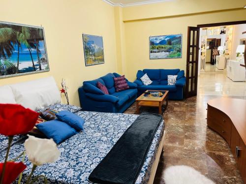 Apartment Albona 77