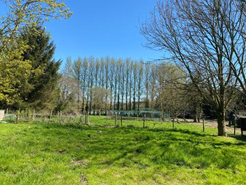 a field of grass with trees in the background at Rivendell in Diss