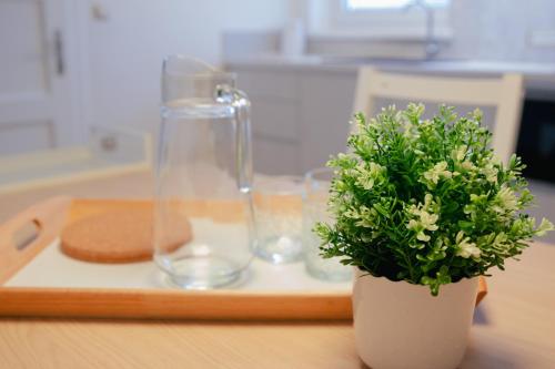 リュブリャナにあるLuxury 2 bedroom NEW apartment with private parkingの時計と眼鏡をかけたテーブルの上に植物を植えた花瓶