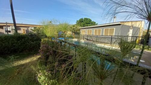 Сад в Cabañas Rancho Carmelitas, Pullally, localidad agrícola de Papudo