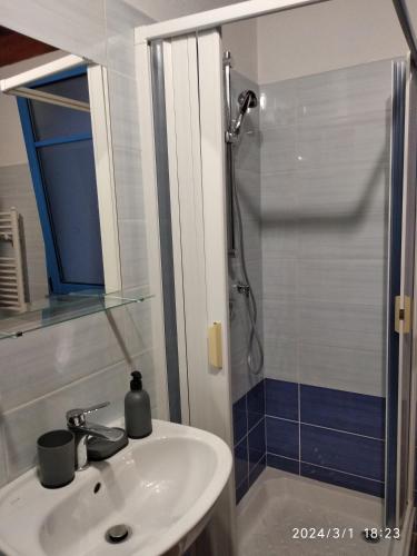 a bathroom with a sink and a shower at A casa di Pietro in Aidomaggiore