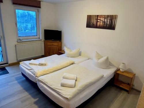 two twin beds in a room with a television at Pension Raststüb'l in Sorge