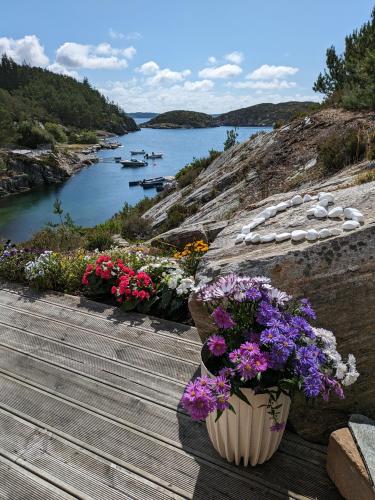 a bunch of flowers on a wooden walkway next to a river at Svært nydelig fritidshytte in Forland