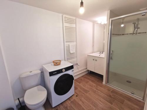 ein weißes Bad mit einem WC und einer Dusche in der Unterkunft Joli deux pièces proche Nantes in Vertou