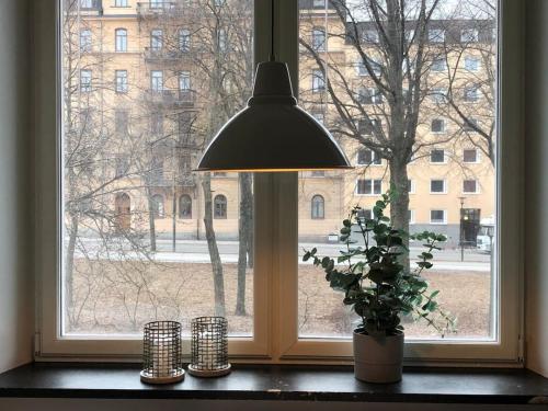 einer Topfpflanze, die auf einer Fensterscheibe mit einer Lampe sitzt in der Unterkunft Lovely Ostermalm apartment in Stockholm