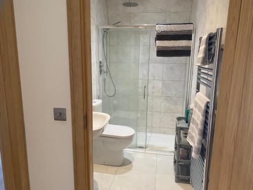 a bathroom with a white toilet and a shower at Immaculate 2 Bed property in rural location in Alloa