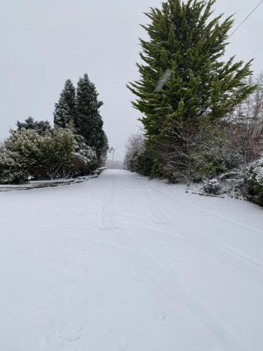 a snow covered road with trees in the distance at The Annex at Meeks Park immaculate 2 bed in Alloa