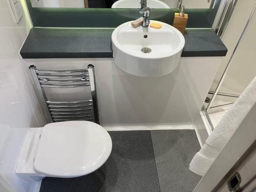 een kleine badkamer met een toilet en een wastafel bij Stunning Apartments at Laycock Studios, in Sheffield in Sheffield