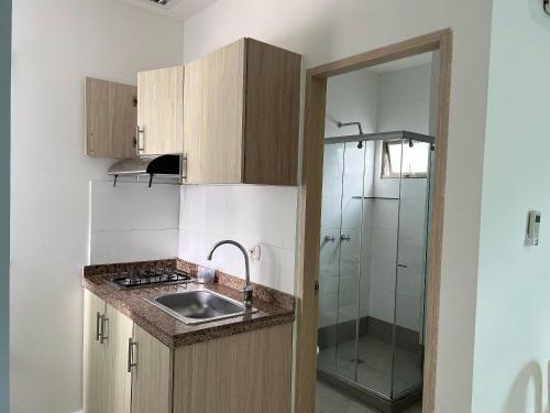 a small kitchen with a sink and a shower at Lagos Apartaestudios x2 in Barranquilla