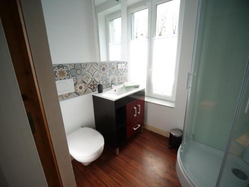 a bathroom with a toilet and a sink and a shower at Les Gîtes du Couesnon in Pontorson