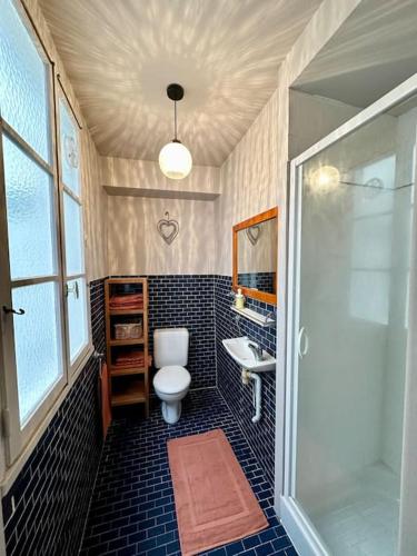 une salle de bain avec toilettes, lavabo et douche dans l'établissement Appartement chaleureux hyper centre, à Meaux