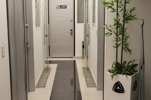 a corridor of a building with a potted plant at La Cabrera Hotel Boutique in Neiva
