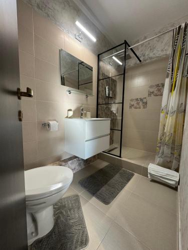 a bathroom with a toilet and a shower and a sink at Victor Residence 38 in Bucharest