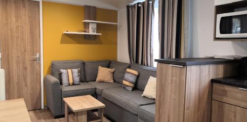 una sala de estar con un sofá gris en una habitación en Nosybe37 MH264 Onzain, en Onzain