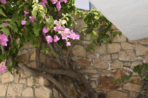 una planta con flores rosas en una pared de piedra en Patmos Cute Seafront Studio Escape for 2 en Patmos
