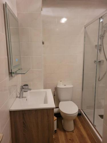 une salle de bain avec toilettes, lavabo et douche dans l'établissement Studio cabine 4 couchages, à Font-Romeu-Odeillo-Via