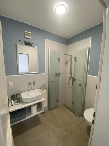 a bathroom with a sink and a shower and a toilet at Ferienwohnung Seibel in Piesport