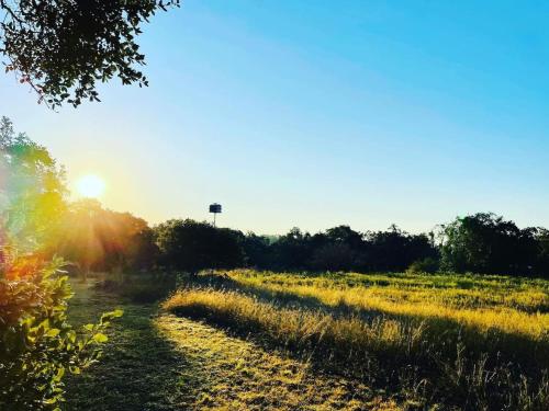 a field of grass with the sun in the background at Gorgeous Modern Cabin w Heated Pool, Firepit in Dripping Springs