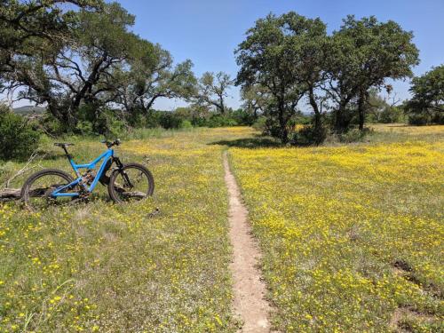 a bike is parked in a field of flowers at Cozy Cabin w Pvt Heated Pool Under Epic TX Stars in Dripping Springs