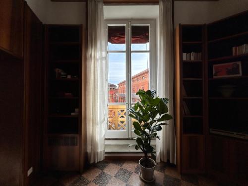 Frame Bologna photo 71