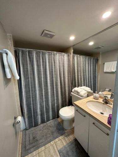 een badkamer met een toilet en een wastafel bij House crescent in Montreal