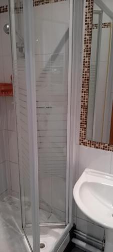 une douche en verre dans une salle de bain avec un lavabo dans l'établissement Appartement calme aux abords de Paris, Seine, à Boulogne-Billancourt