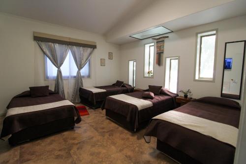 a room with three beds and a couch and windows at Juku Hostal in Calama