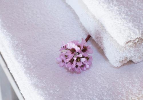 a purple flower sitting on a white towel at O Chardinet d'a Formiga in Aínsa
