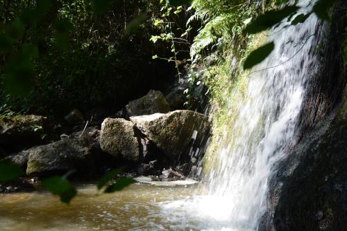 a waterfall in a forest with rocks and trees at Maison Belle Vue in Chiddes